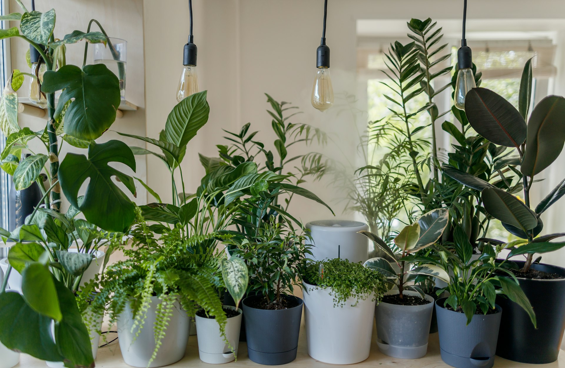 Natural vertical garden installation in India with real plants